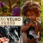foto documentario sobre cerrado