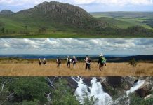 Dia Mundial do Meio Ambiente é celebrado hoje (05)