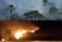 Incêndio supostamente criminoso consome Morro do Pireneus desde ontem (16)