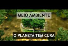 Isolamento social reduz poluição e mostra urgência de energias renováveis