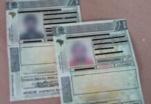 Senado aprova ampliação da validade da CNH para 10 anos e números de pontos para suspensão