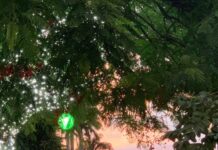 Verão começa hoje(21) e a previsão é de chuva abaixo da média e altas temperaturas