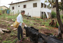 Período pós-chuva exige atenção contra a dengue; veja cuidados
