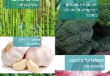 Fitoterapia aplicada ao tratamento de osteoporose indicado por Lenísia Septimio