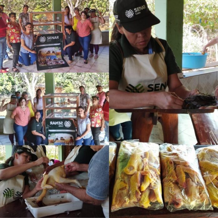 foto curso de avicultura basica