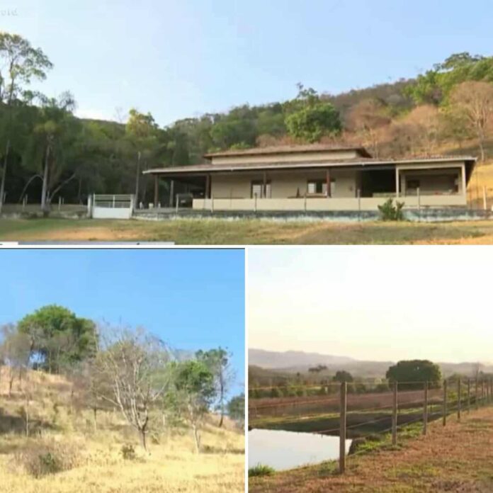 541424984_1452418185876102_7132435657583261636_n