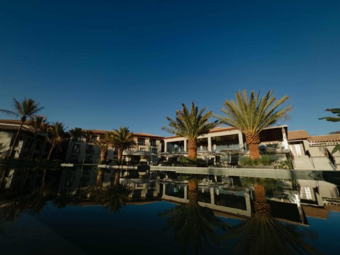 550420904_1314774663491154_1355366435508664311_n