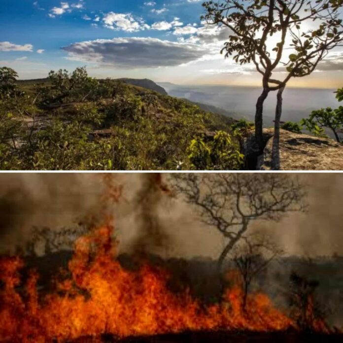 579920054_1370112737996948_2136349582275989969_n