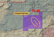 Projeto de mineração de ouro em Pirenópolis já está na fase de prospecção. Entenda: