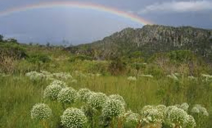 566575202_1758811308163026_6221648129313771710_n (1)