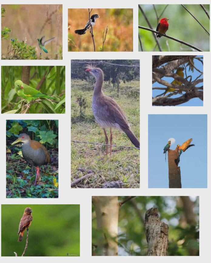 608796763_1240943274587667_6026427188939172006_n