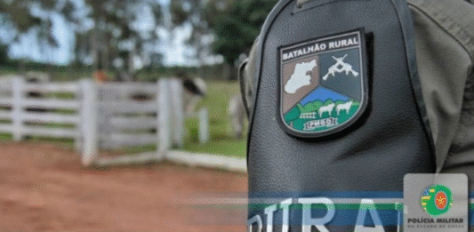 Região de Pirenópolis, São Francisco de Goiás e arredores tem registrado um aumento na insegurança rural, com relatos de furtos de gado, maquinários e abates clandestinos de animais nas propriedades