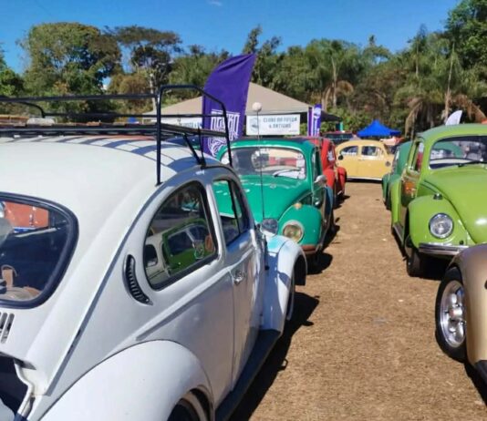 Exposição de Veiculos Antigos, do 19.º Interclube Car Show de Pirenópolis, irá acontecer de 03 a 05 de julho, na Beira Rio