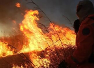 Semad vai pagar brigadas comunitárias para prestar serviços ambientais e combater incêndios florestais em Goiás; acesse aqui o edital e a ficha de inscrição: