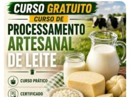 STRAAF e SENAR GO disponibilizam vagas para Curso de Processamento Artesanal do Leite. Faça sua inscrição;