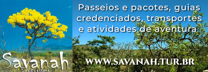 Savanah Ecoturismo