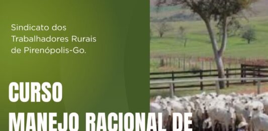 Capacitação rural: STRAAF e Senar GO oferecem curso de Manejo Racional de Bovinos de Corte. Faça sua inscrição