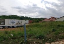 A outra face do Cartão-Postal: lixo, mato alto e cobras assustam moradores em bairros de Pirenópolis